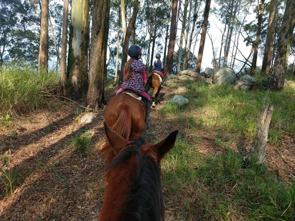 Passeio a cavalo