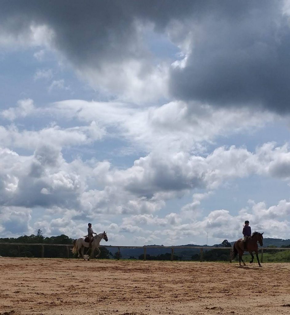Vendo as arenas da perspectiva de um cavalo