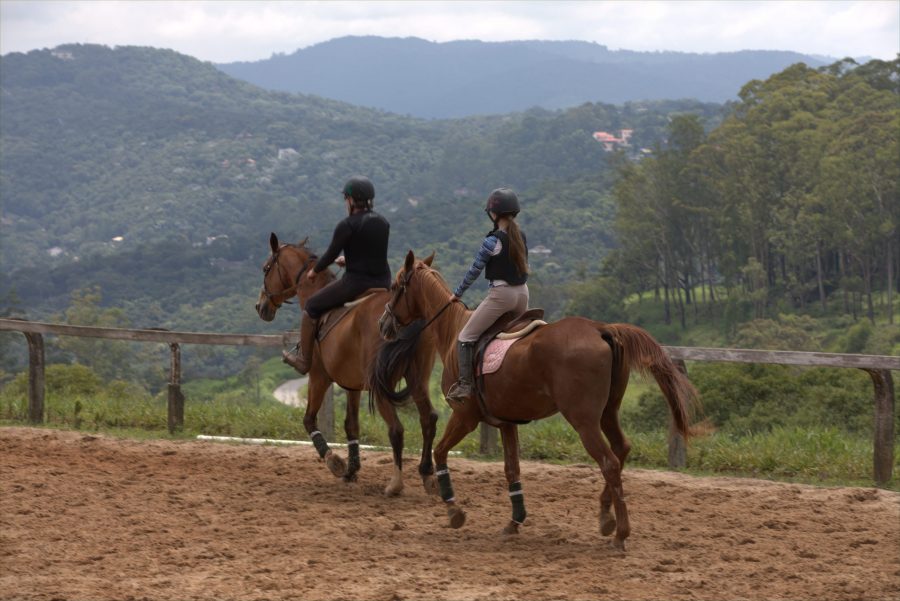 Por que razão se considera o hipismo um desporto elitista?