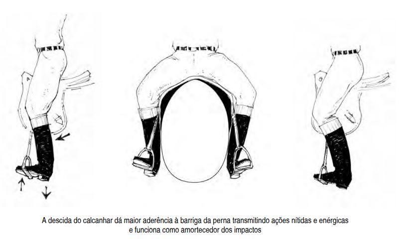 A descida do calcanhar dá maior aderência à barriga da perna