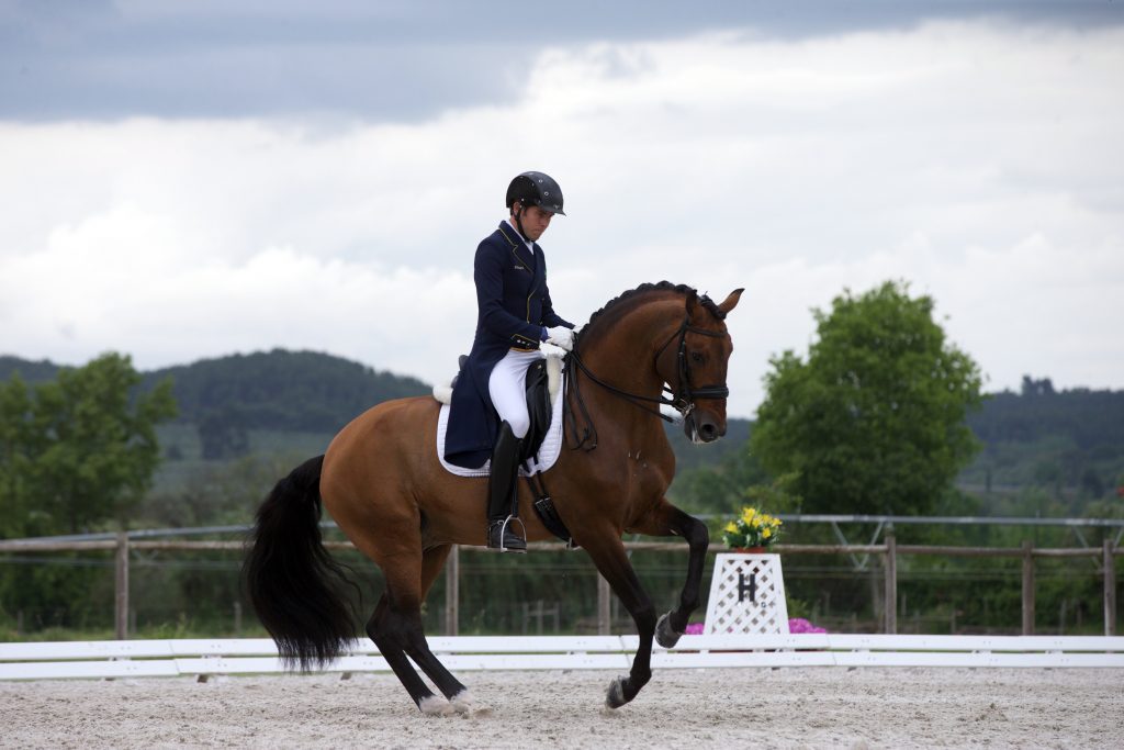 João Victor Macari Oliva com Escorial Horsecampline no CDI de Abrantes 2021 (Img arquivo Rui Godinho)