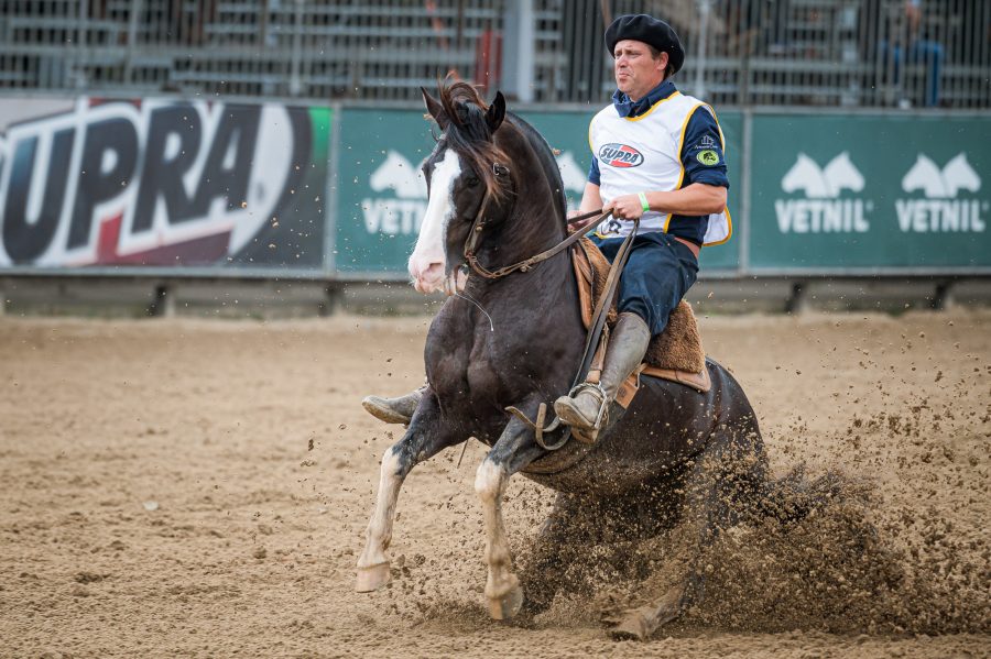 Freio de Ouro consagra bicampeonato de cavalo uruguaio e título de fêmea inédita