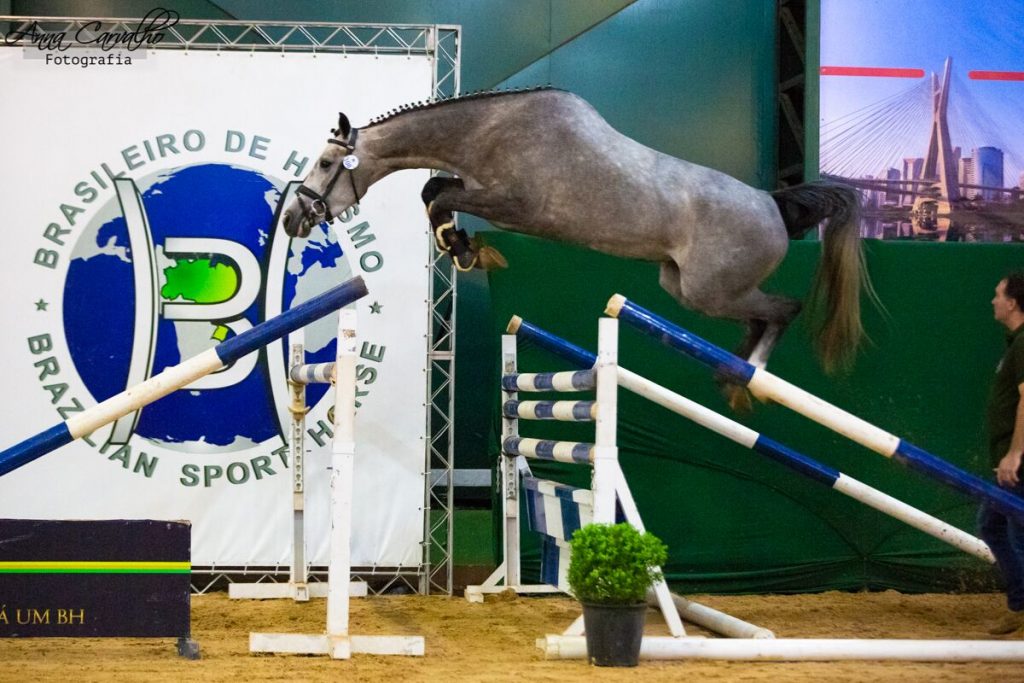 Cassila no Salto em Liberdade, foto Ana Carvalho, arquivo ABCCH