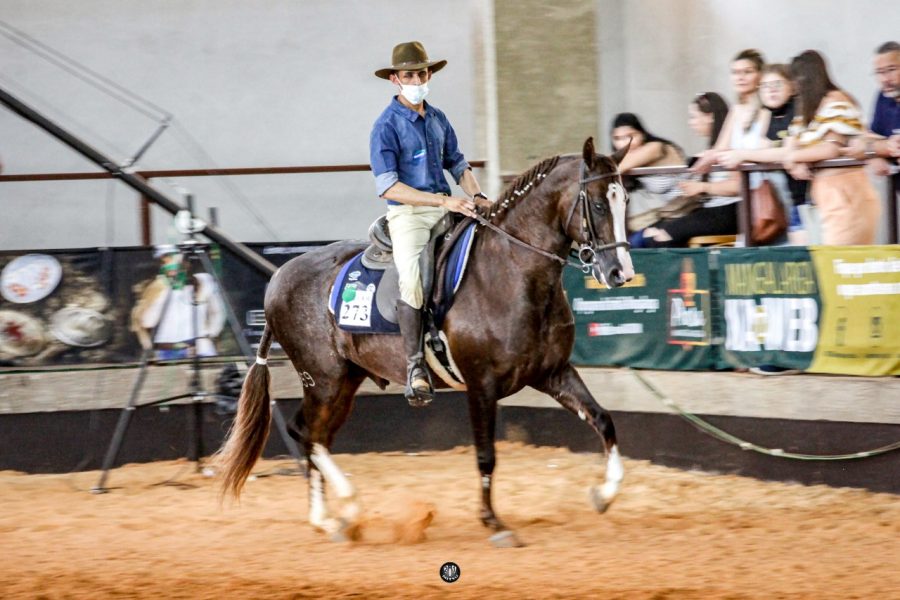43ª Expo Nacional demonstra a qualidade da marcha do cavalo Mangalarga