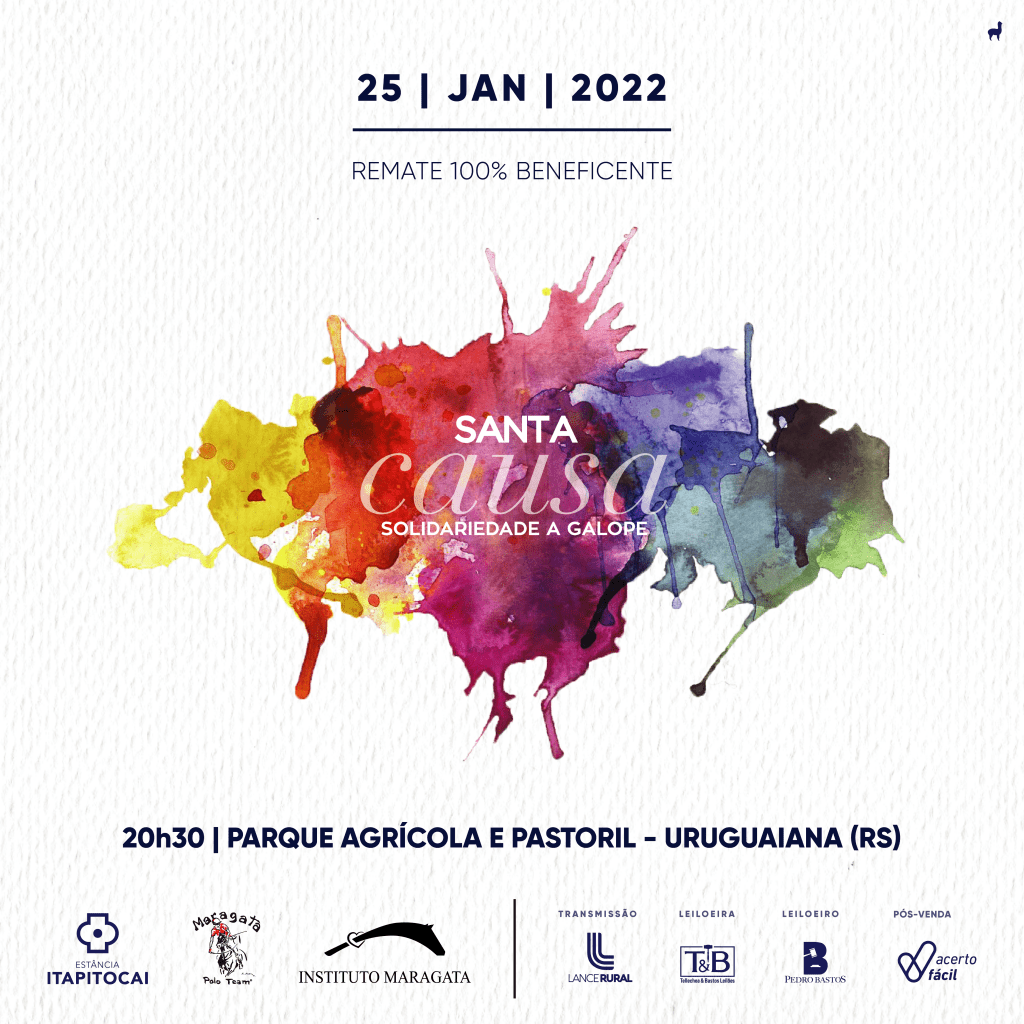 Arte oficial do Leilão Santa Causa