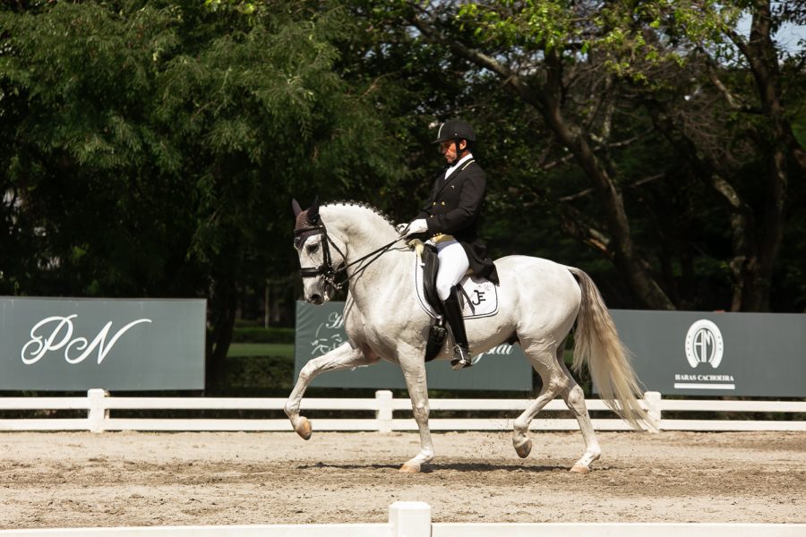 40ª Exposição Internacional do Cavalo Lusitano será palco de Concurso de Adestramento Nacional