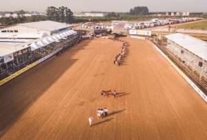 Pista do Cavalo Crioulo - Crédito Fagner Almeida