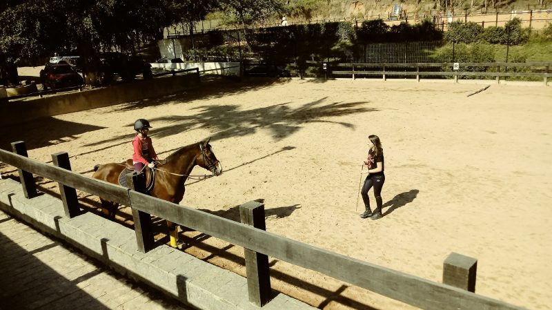 Aula de hipismo equitação montaria, aula em SP