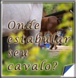 Onde hospedar (estabular) seu cavalo