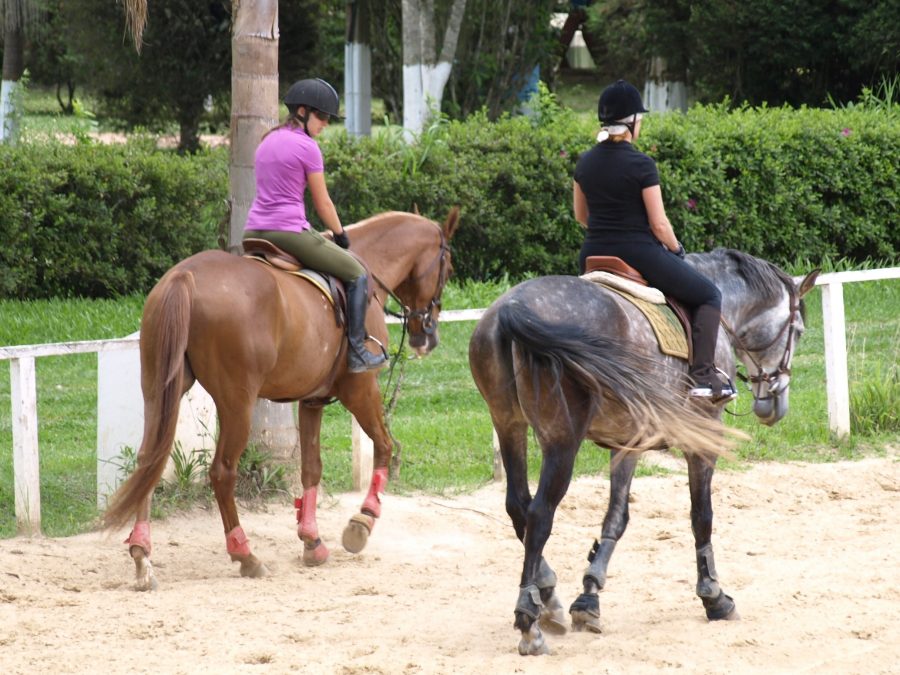 Estudo: andar a cavalo ajuda as mulheres a desenvolver o tônus ​​muscular