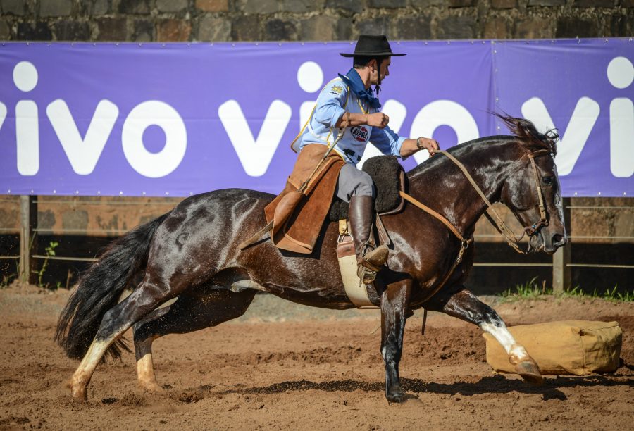 Leilão valoriza cavalo Sargento do Itapororó em R$ 4,95 milhões no mercado
