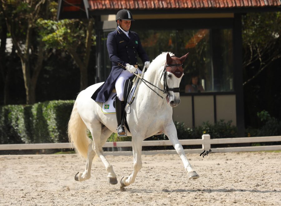 40ª Expo Internacional do Cavalo Lusitano acontece em São Paulo