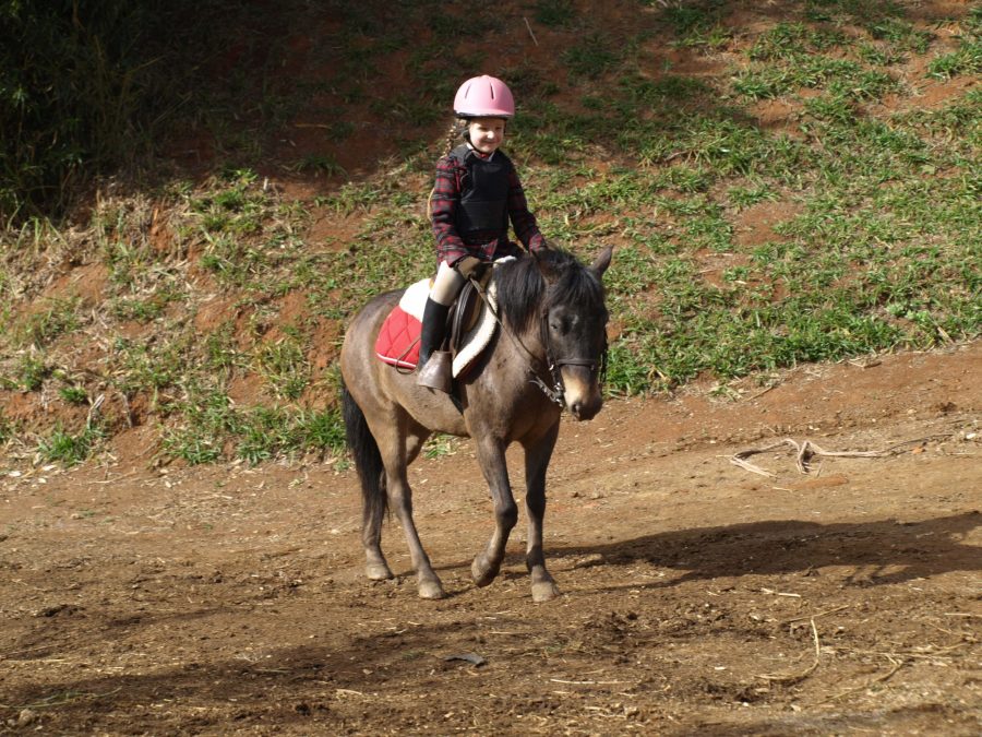 10 lições que seu filho aprende quando anda a cavalo