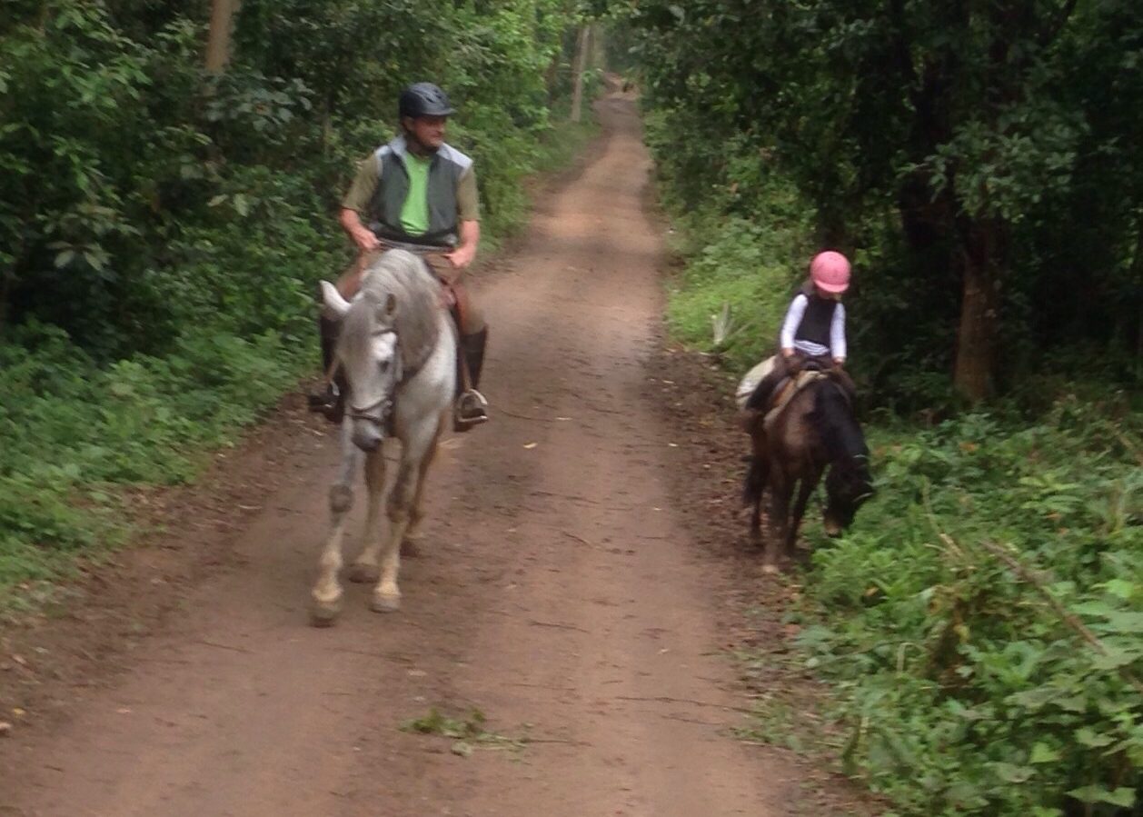 Criança, cavalo, aulas de equitação, alertas e cuidado, prazer, alegria, responsabilidade