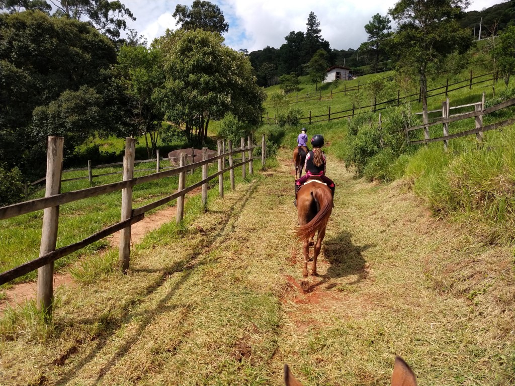 Passeios a cavalo, pense bem antes de fazê-los