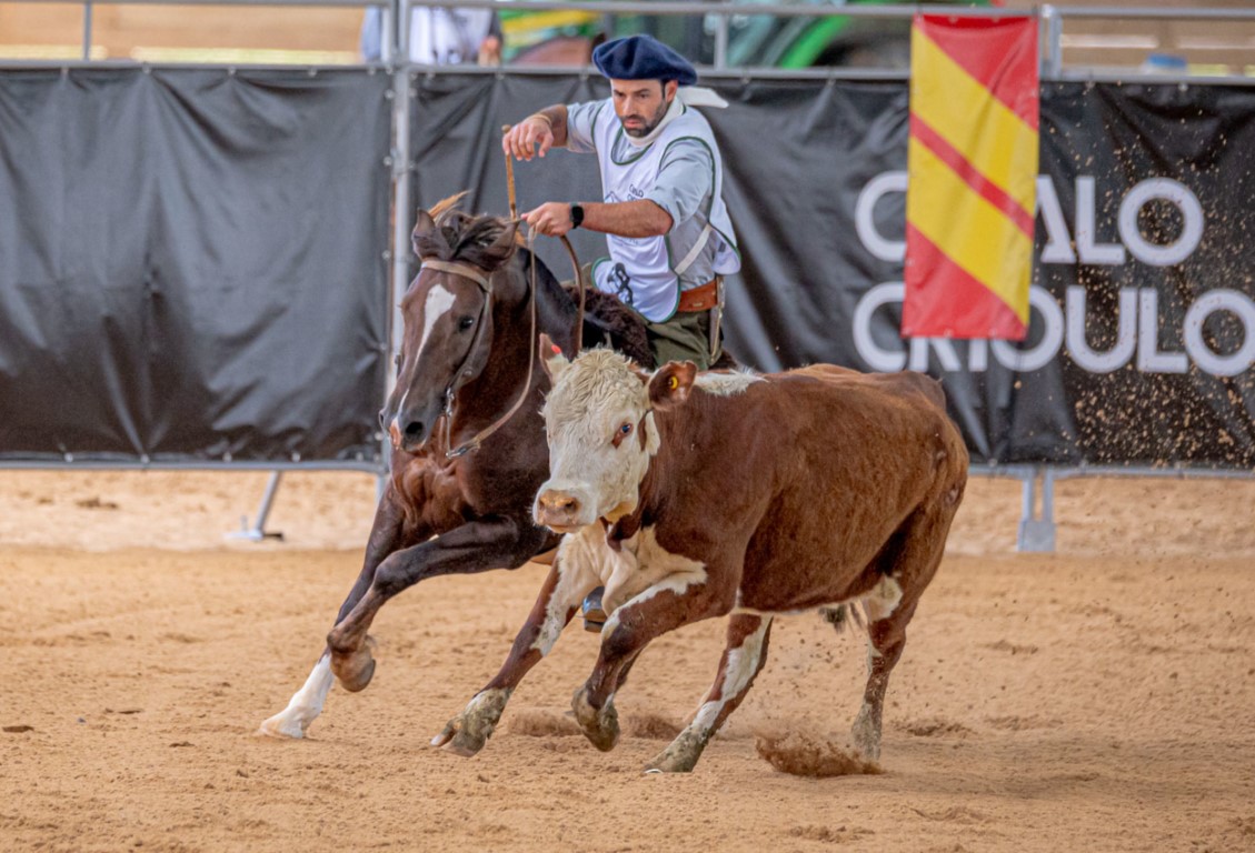 Vaquero Working Cow Horse define primeiros campeões da modalidade