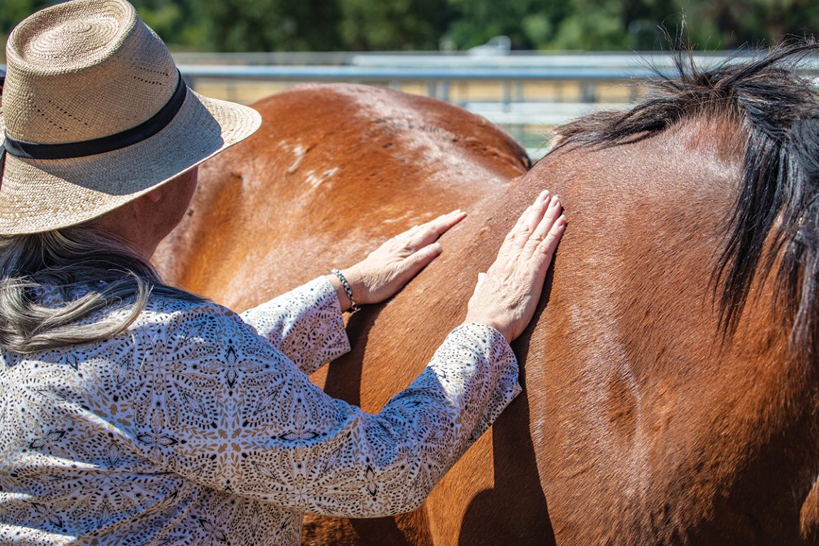 Como a terapia assistida por equinos pode ajudar na doença de Alzheimer