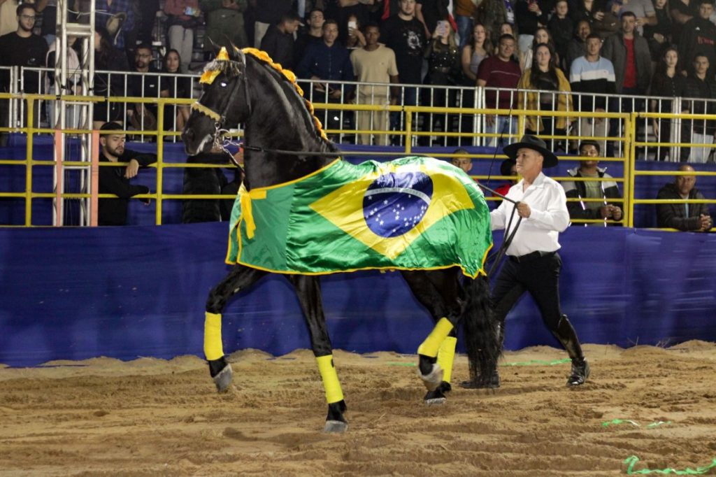 Foto 4 - Show Bentinho com cavalo Tiao Carreiro (Médio)