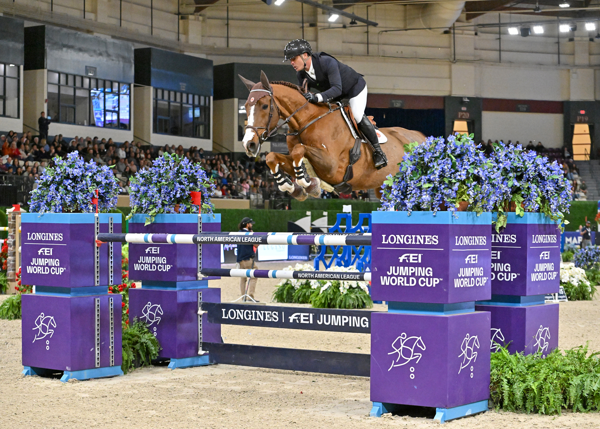 Rodrigo Pessoa e Major Tom faturam GP5*, a 1.60m, nos EUA