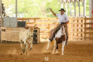 Crioulaco-Agraria-Nutricao-Animal-300x200 Crioulaço Agrária Nutrição Animal reúne maior premiação já registrada em competição de laço na Costa Doce