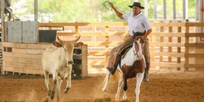 Crioulaço Agrária Nutrição Animal reúne maior premiação já registrada em competição de laço na Costa Doce