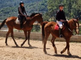 Alimentação adequada à idade para veteranos