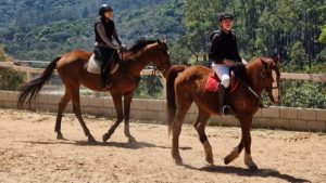 IMG-20250927-WA0020-300x169 Alimentação adequada à idade para veteranos