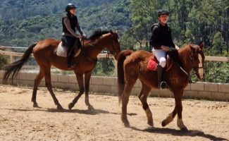 Alimentação adequada à idade para veteranos