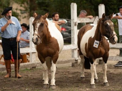 Jurado do Mancha Crioula já foi premiado na exposição