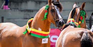 ABCCC inicia Passaportes de Outono em Lapa, no Paraná