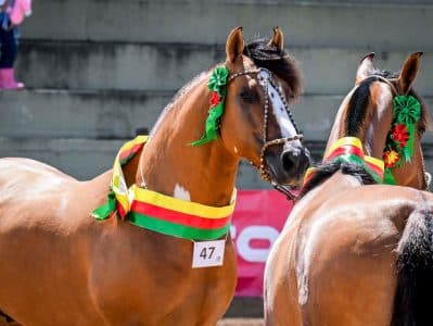 ABCCC inicia Passaportes de Outono em Lapa, no Paraná
