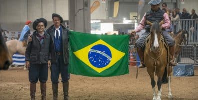Cavalo Crioulo na Europa: treinamento para Freno de Europa é promovido na Itália