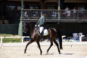 Rodolpho-Riskalla-medalhista-paralimpico-e-mundial-radicado-na-Europa-300x200 Paradestramento do Brasil entra para o Top 8 do mundo e vive momento histórico