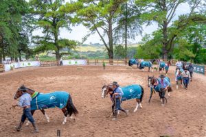 A-cidade-de-Cacapava-do-Sul-RS-sedia-a-segunda-Passaporte-de-Outono-Medio-Pequeno-300x200 Passaporte de Outono em Caçapava do Sul deverá receber exemplares de mais de 30 municípios 
