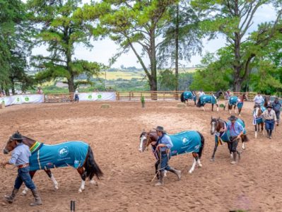 Passaporte de Outono em Caçapava do Sul deverá receber exemplares de mais de 30 municípios 