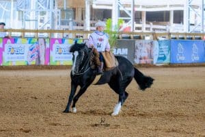 Amor-pelo-Cavalo-Crioulo-traz-mais-mulheres-para-as-competicoes-300x200 Amor pelo Cavalo Crioulo traz mais mulheres para as competições
