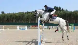 Felipe-Guinato-300x175 Felipe Guinato é vice-colocado em prova de 1.50m no Sunshine Tour