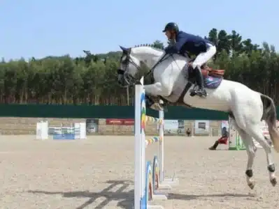 Felipe Guinato é vice-colocado em prova de 1.50m no Sunshine Tour