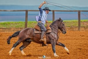 Homenageado-Tiarles-Santana-Medio-300x200 Região 8 confirma pódio do Circuito de Doma na Noite dos Campeões