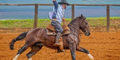 Região 8 confirma pódio do Circuito de Doma na Noite dos Campeões