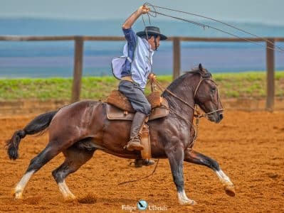 Região 8 confirma pódio do Circuito de Doma na Noite dos Campeões