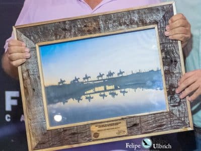 Hoje – Noite dos Campeões premia vencedores do Cavalo Crioulo de nove estados