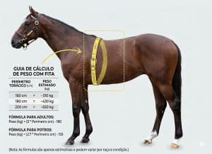 calcula-peso-com-fita-300x218 Calculadora de Peso para Cavalos Adultos