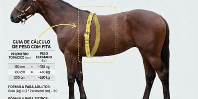 Calculadora de Peso para Cavalos Adultos