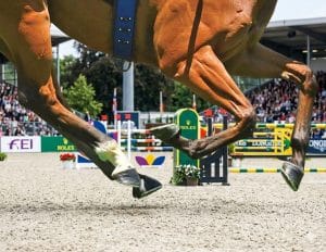 casco-300x232 A dieta do seu cavalo contribui para cascos fortes?