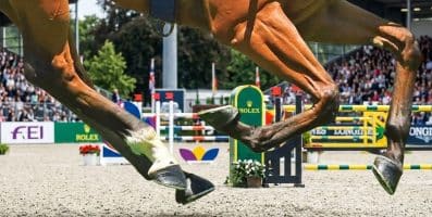 A dieta do seu cavalo contribui para cascos fortes?