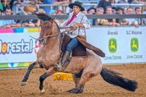 1˚lugar_Bocal-de-Ouro_FU16_D850-3240-Editar_Box-067_GAP-Orfeu-Medio-300x200 Vitória vem do coração e coroa Gap Orfeu e Guerreira da Pavei no Bocal de Ouro