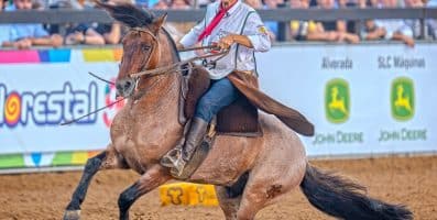 Vitória vem do coração e coroa Gap Orfeu e Guerreira da Pavei no Bocal de Ouro