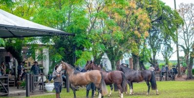 Próxima Passaporte de Outono será no berço da ABCCC, em Bagé