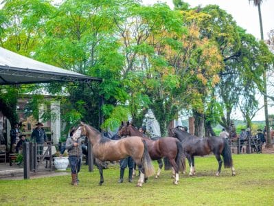 Próxima Passaporte de Outono será no berço da ABCCC, em Bagé